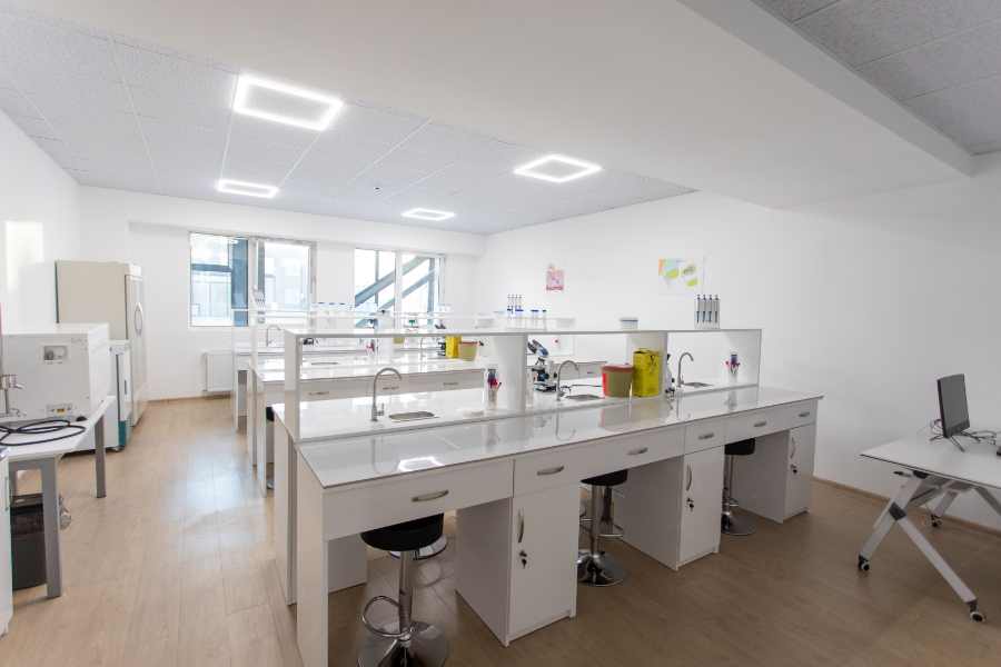 European University - College Image