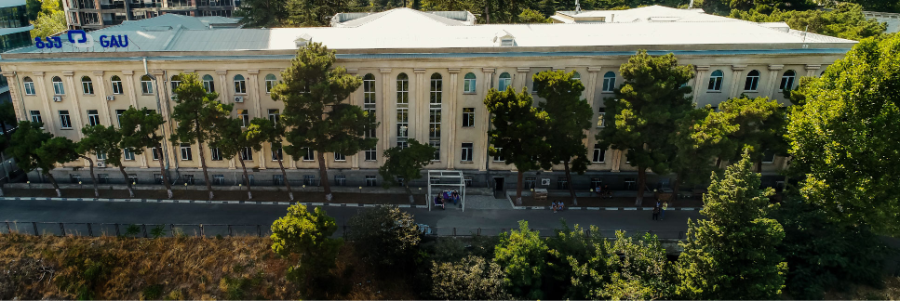 Georgian American University - College Image