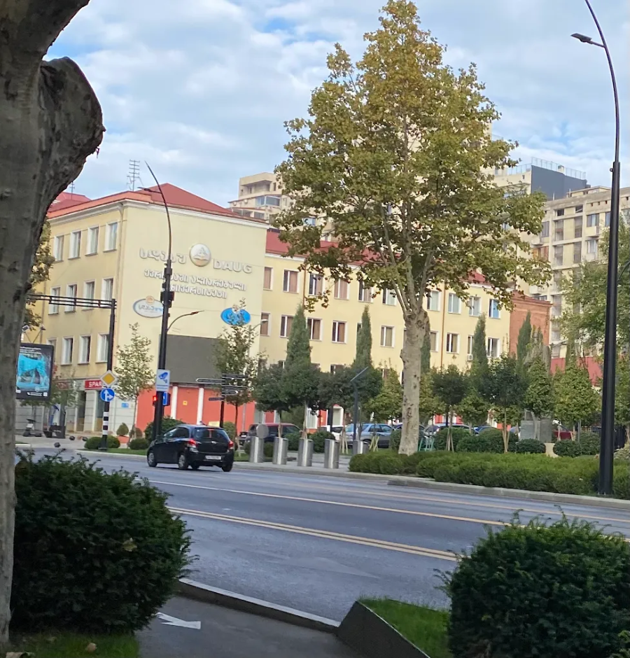 David Agmashenebeli University of Georgia - College Image