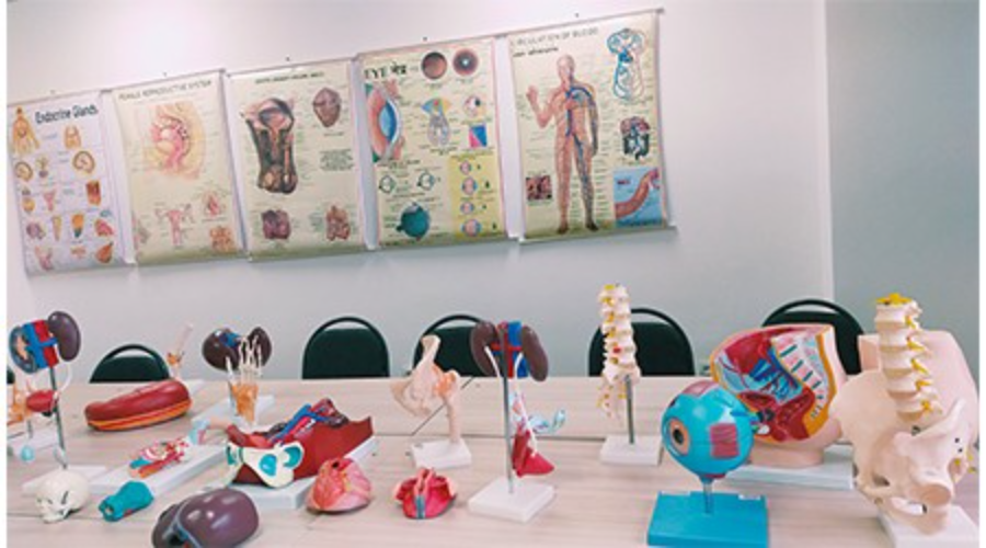 International Medical School - College Image