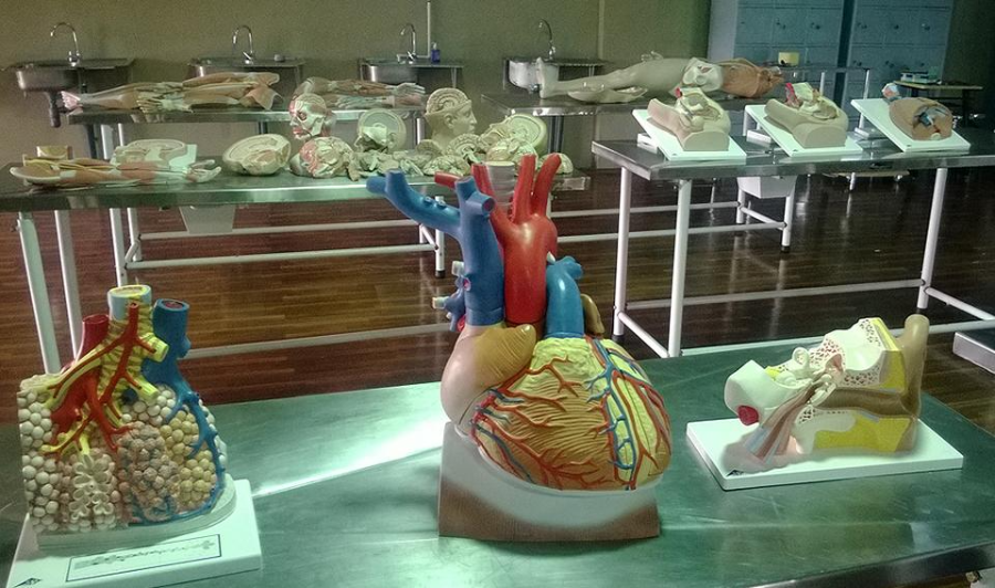 Anna Medical College - College Image