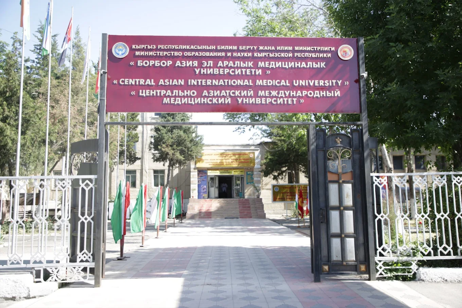 Central Asian International Medical University - College Image