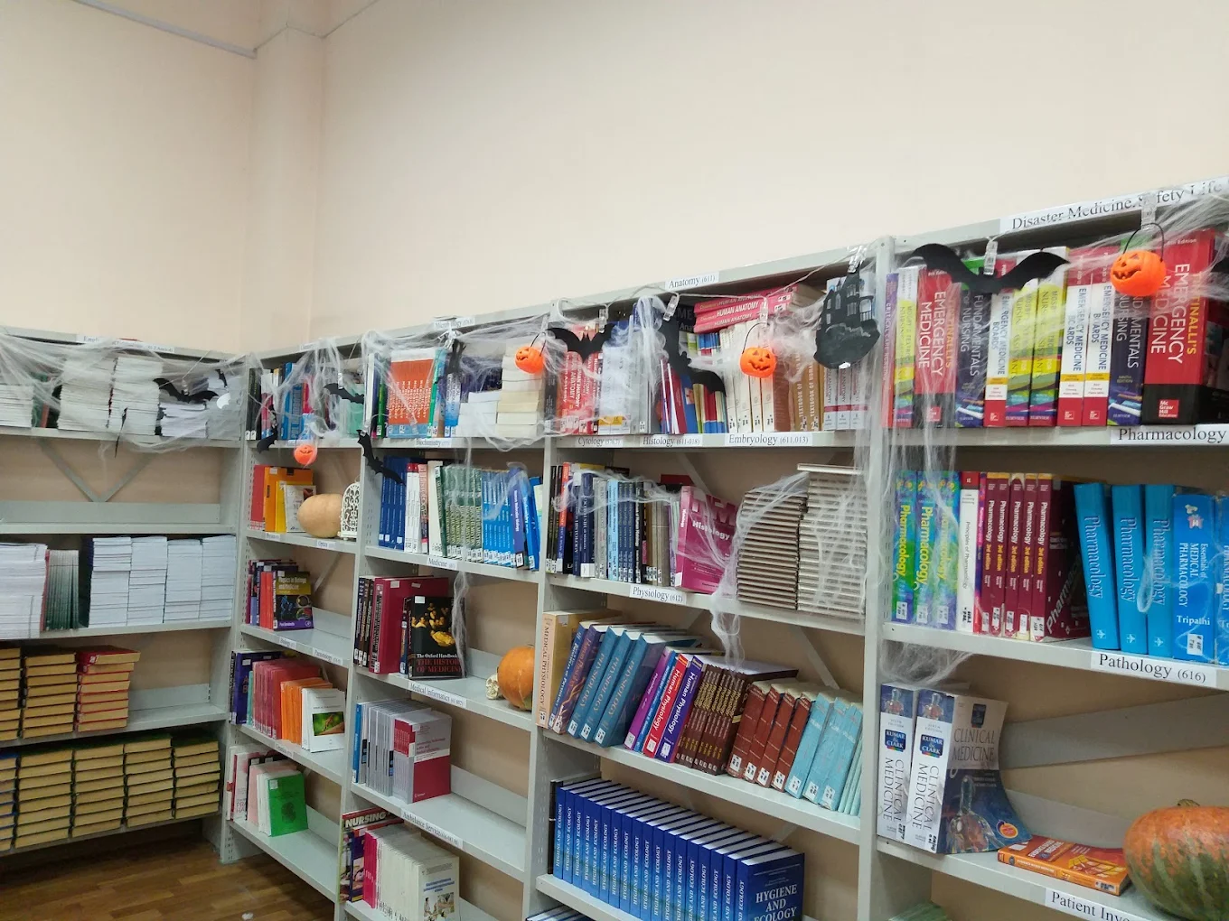 Bashkir State Medical University* - College Image