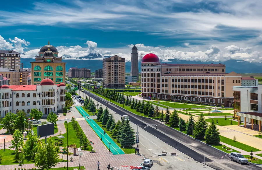 Ingush state medical university - College Image