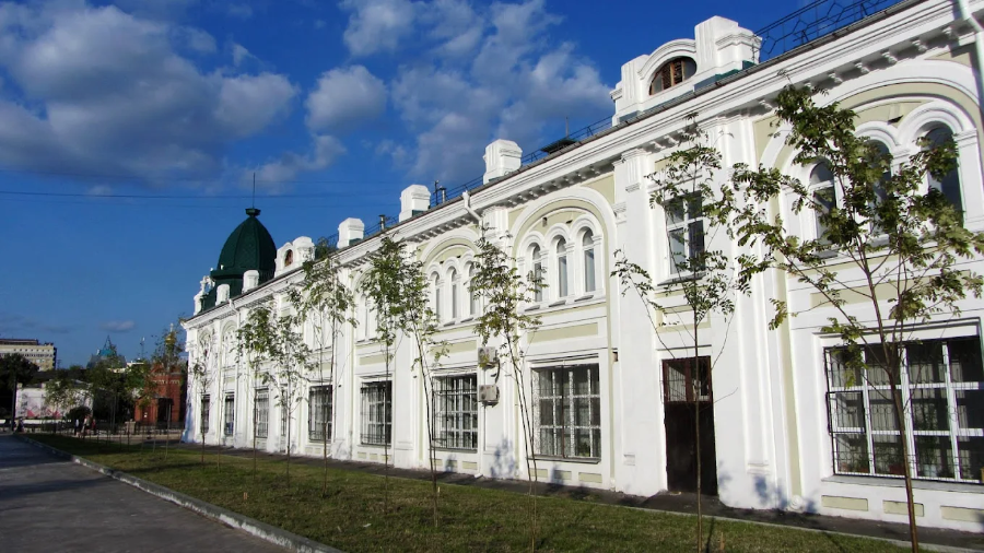 Omsk State Medical University - College Image