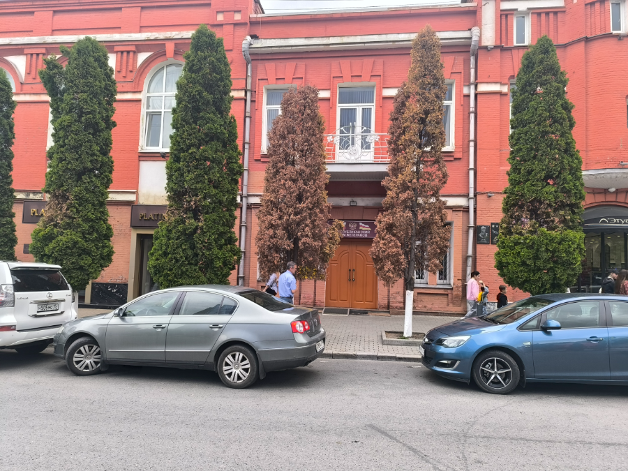 North Ossetian State University* - College Image