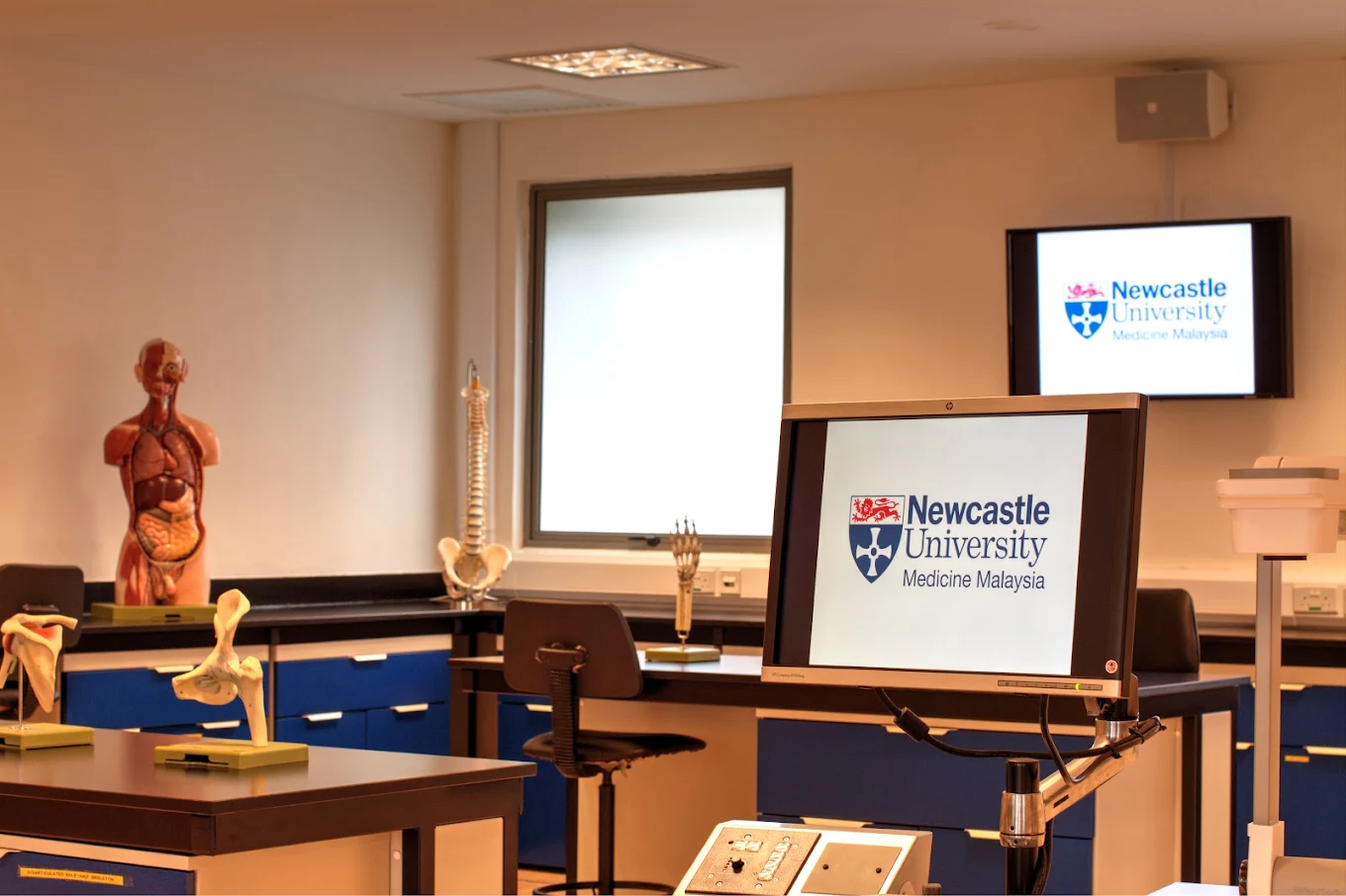 New Castle University - College Image