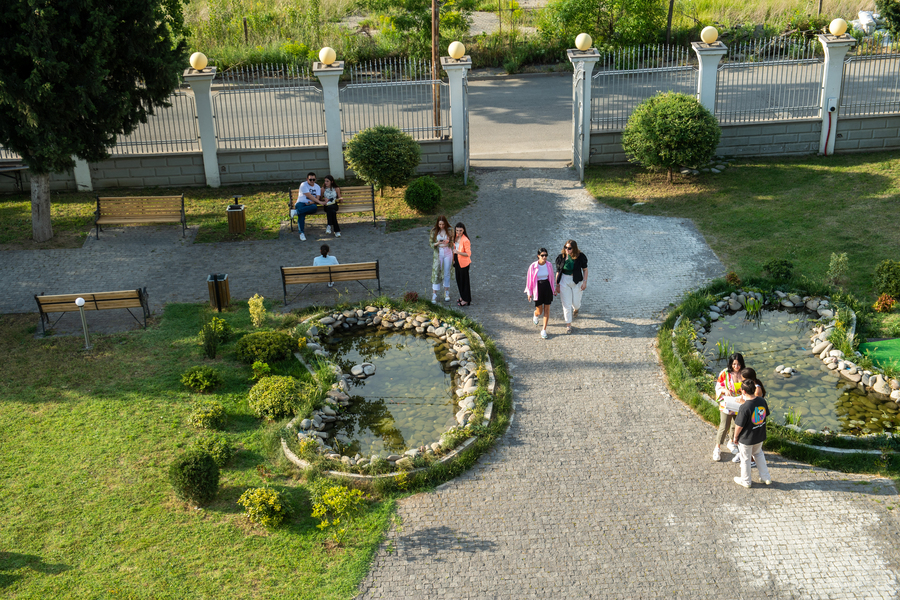 Grigol Robakidze University* - College Image