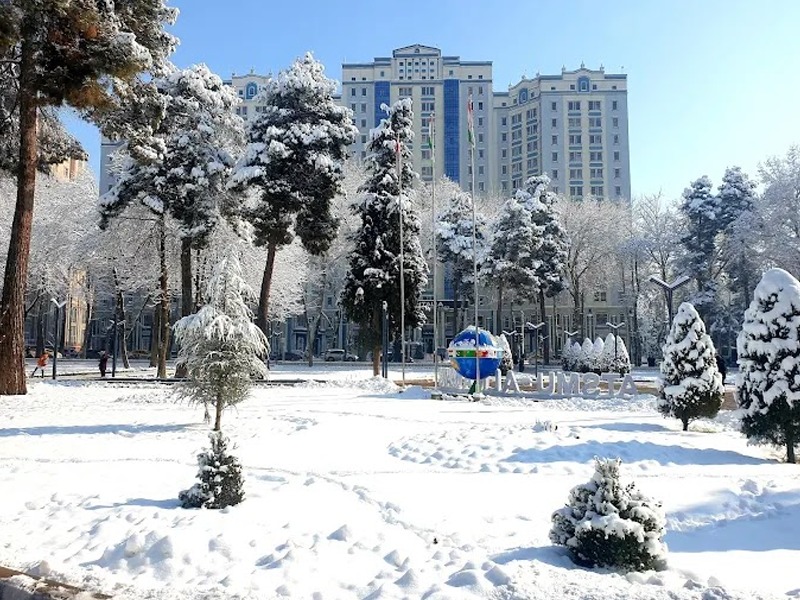 Avicenna Tajik State Medical University (ATSMU), Dushanbe - College Image
