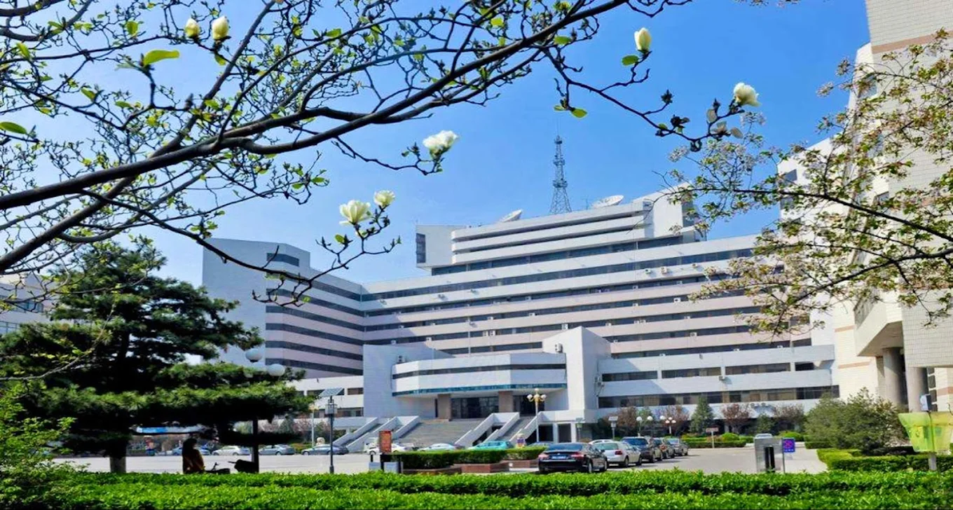 Shandong University - College Image