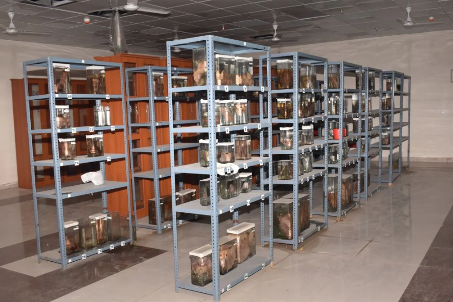 Government Medical College, Firozabad - College Image