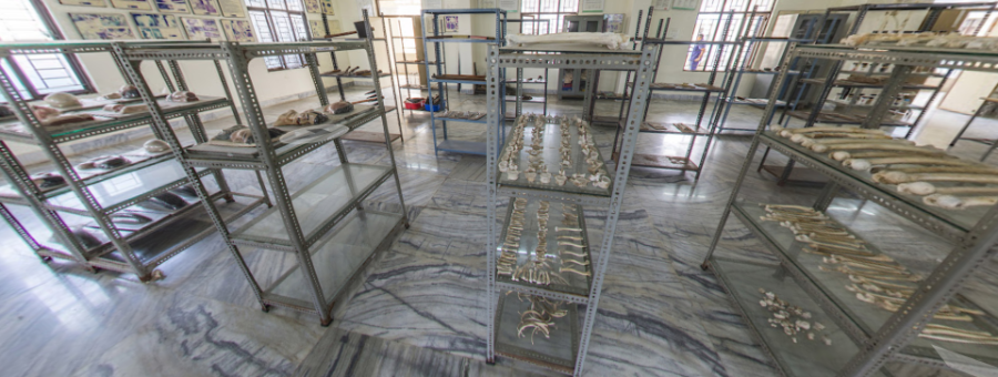 NRI Medical College, Guntur - College Image