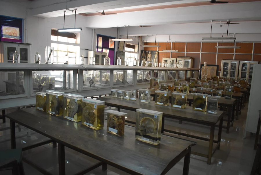 Sri Venkateswara Medical College, Tirupati - College Image