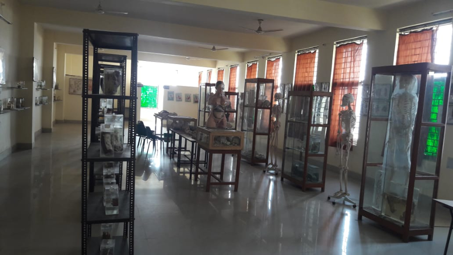 Lord Buddha Koshi Medical College and Hospital, Saharsa - College Image