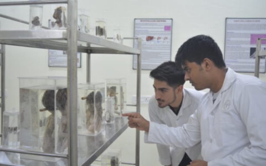 Madhubani Medical College, Madhubani - College Image