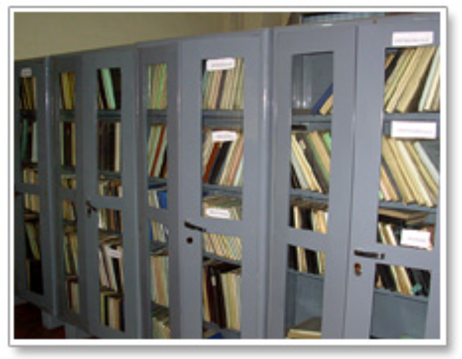 Pt J N M Medical College, Raipur - College Image