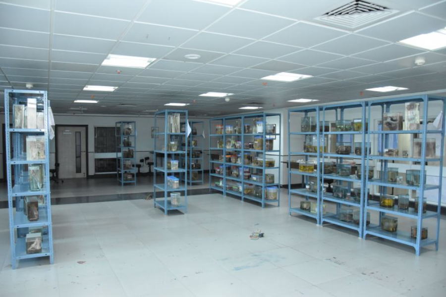 Employees State Insurance Corporation Medical College, Bangalore - College Image