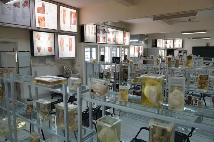 St. Johns Medical College, Bangalore - College Image