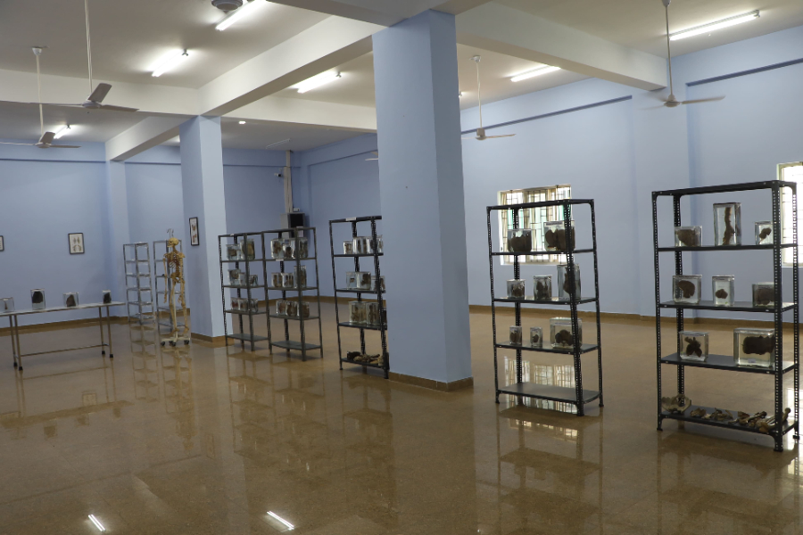Government Medical College, Konni - College Image
