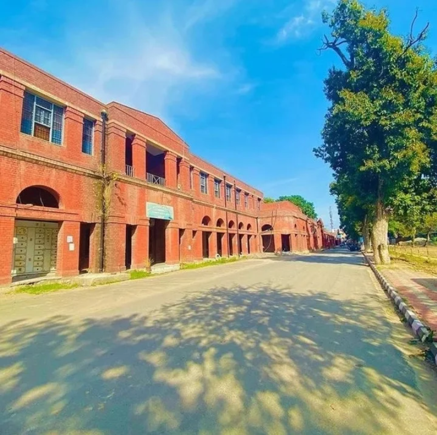 Government Medical College, Amritsar - College Image