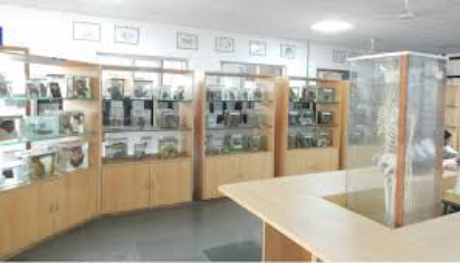 Mahatma Gandhi Missions Medical College, Navi Mumbai - College Image