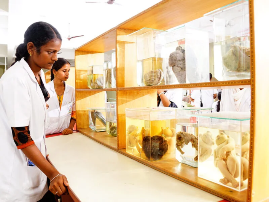 ACS Medical College and Hospital, Chennai - College Image