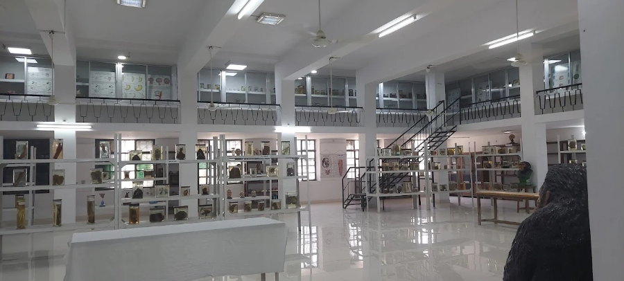 RNT Medical College, Udaipur - College Image