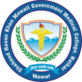 Shaheed Hasan Khan Mewati Govt Medical College, Nalhar - Logo